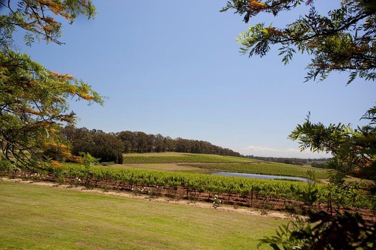 Constable Estate Vineyards