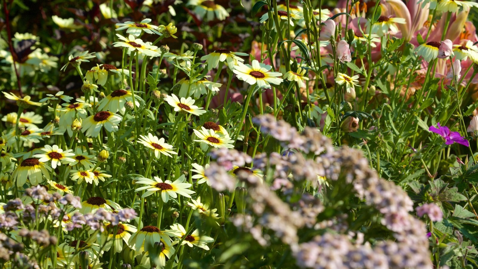 Georgeson Botanical Garden