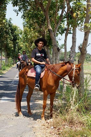 Bale Kuda Stable