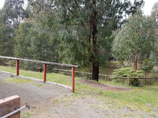 Marysville Trout and Salmon Ponds