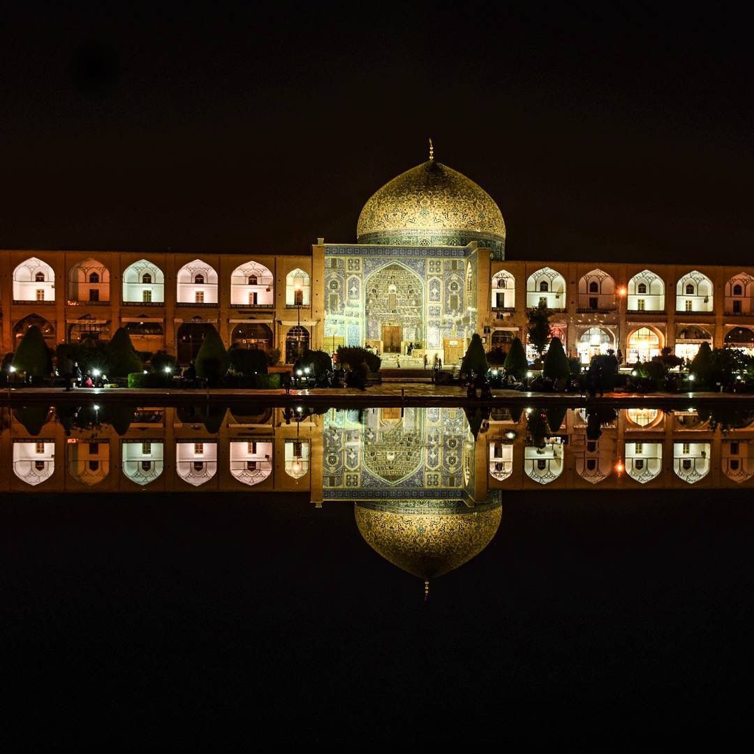 Narcis Persian Night