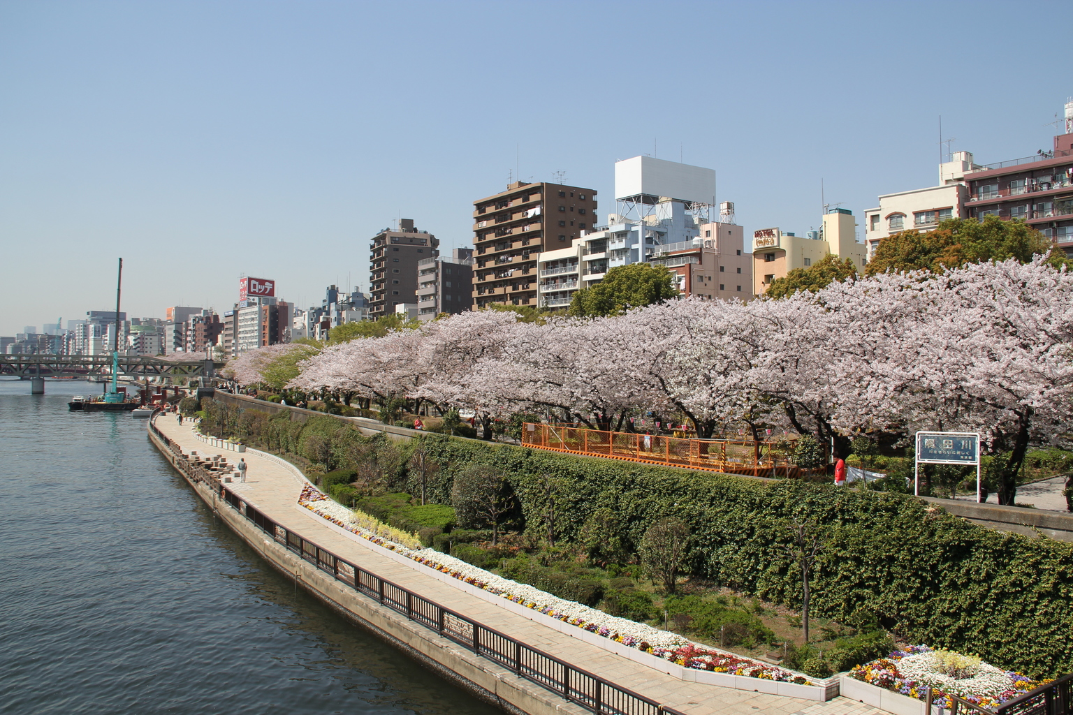 Nishimachi Park