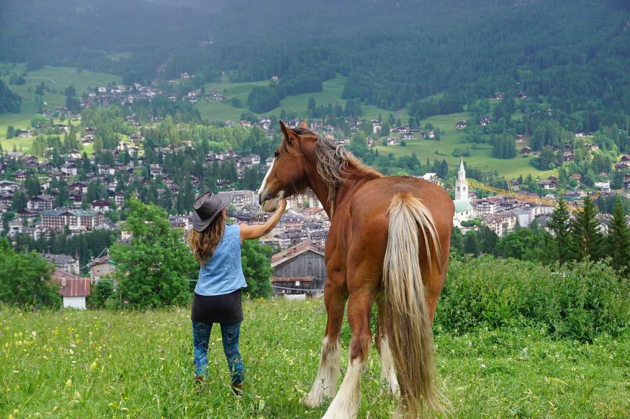 Baby Ranch