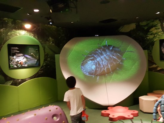 Orbi Yokohama