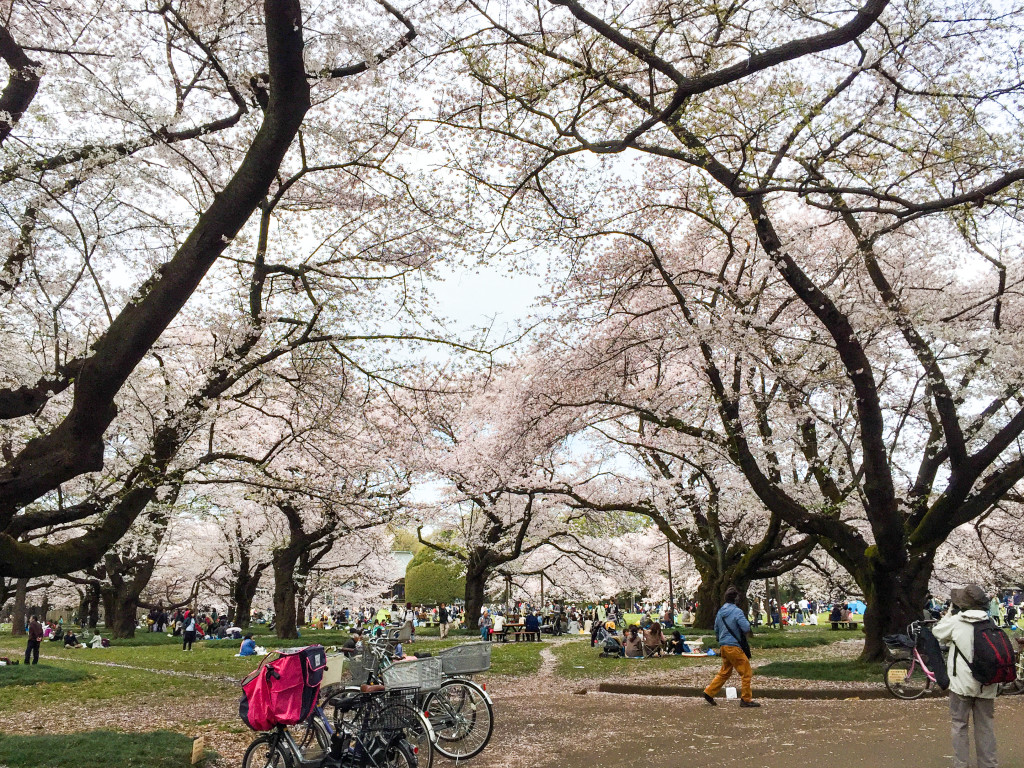 Sanraku Park