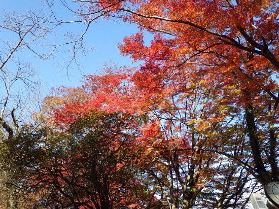 Takaiwa Park