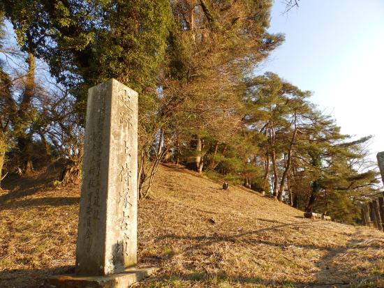 Kamisamuraizukakofun