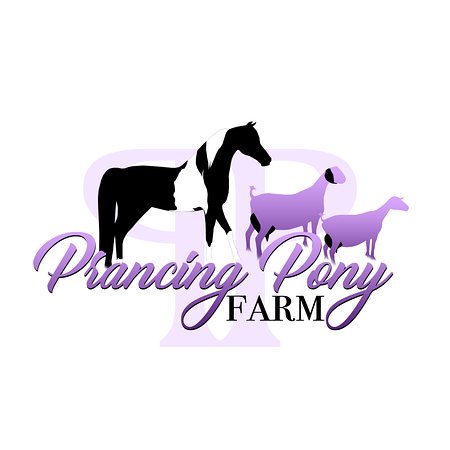Prancing Pony Farm