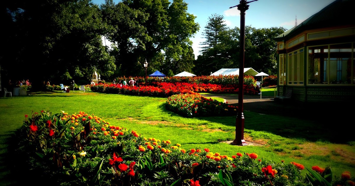 Movie Garden