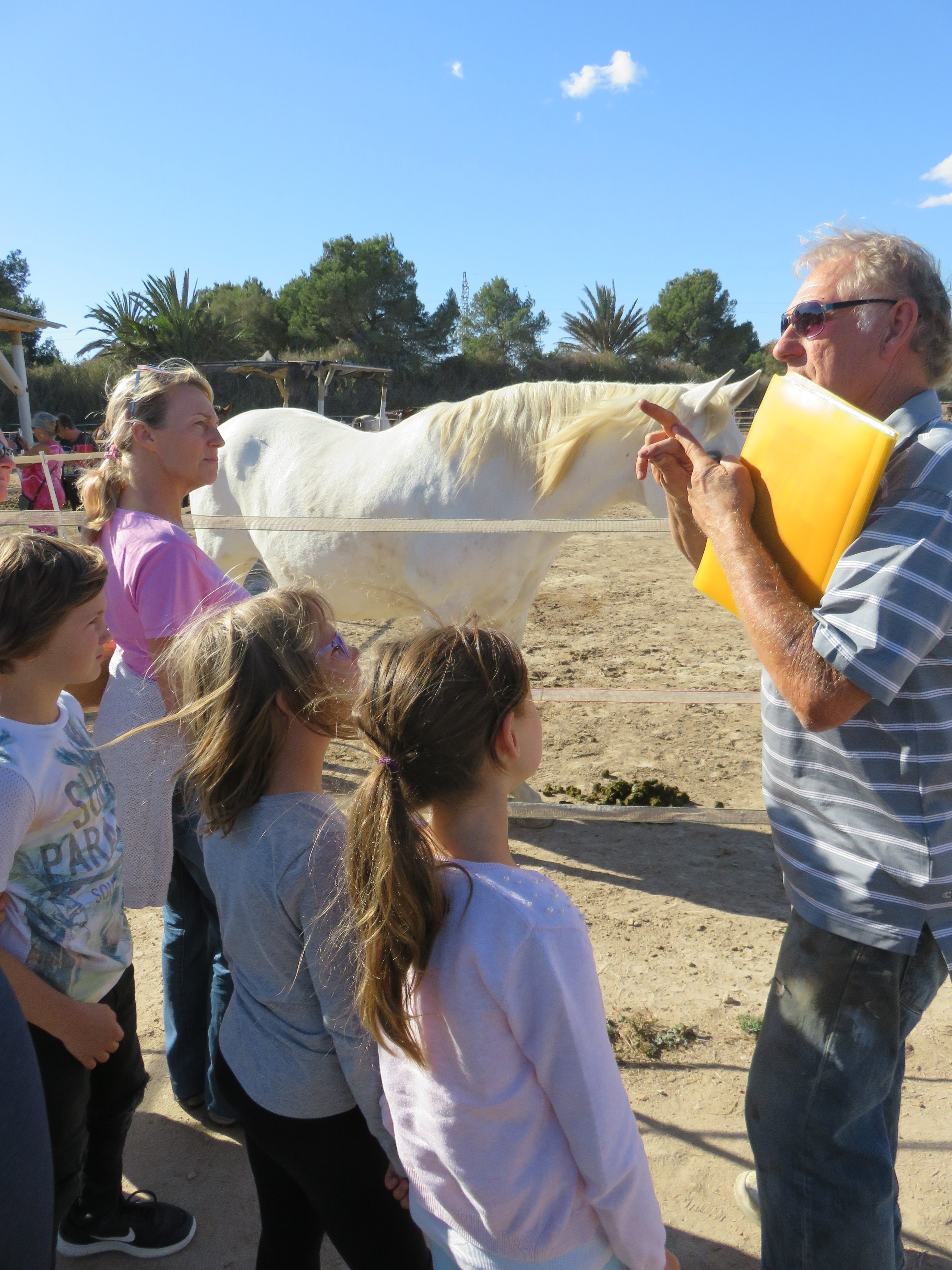 Easy Horse Care Rescue Centre