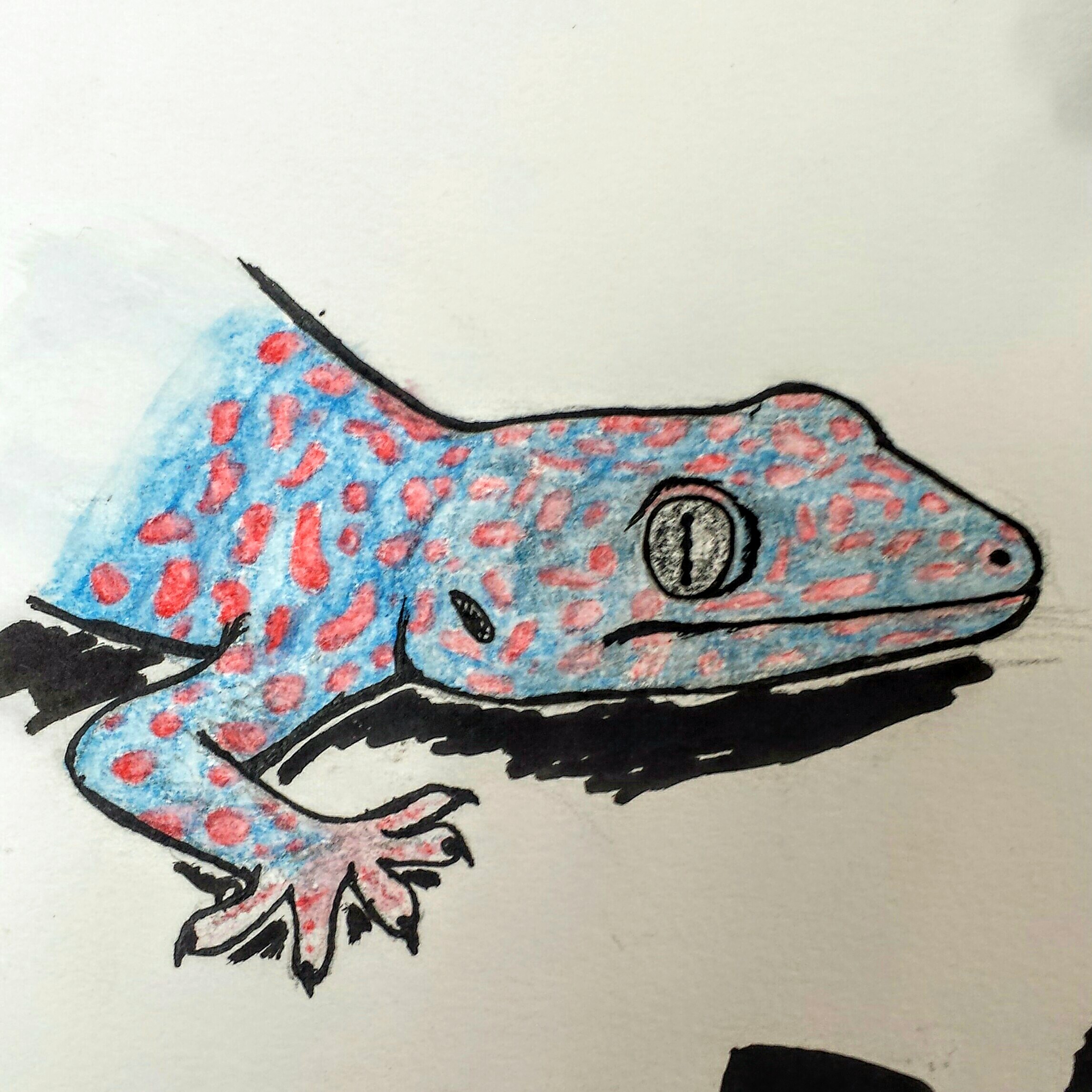 Art Gecko