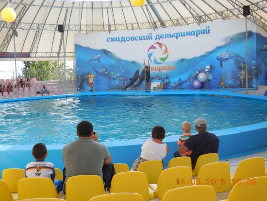 Dolphinarium Akvarel