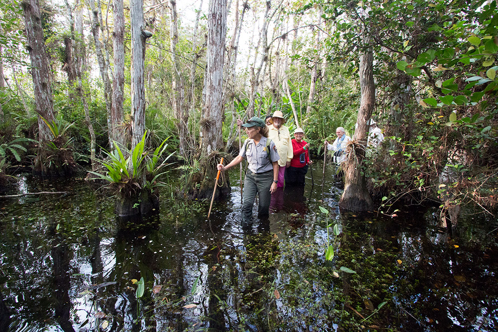 Big Swamp Walk