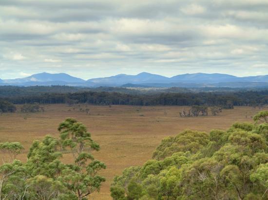 Dempster Plains Lookout