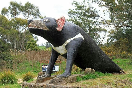 The Big Tasmanian Devil
