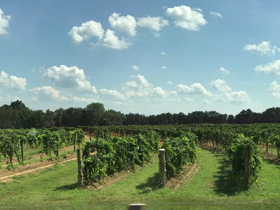 Wiederkehr Wine Cellars