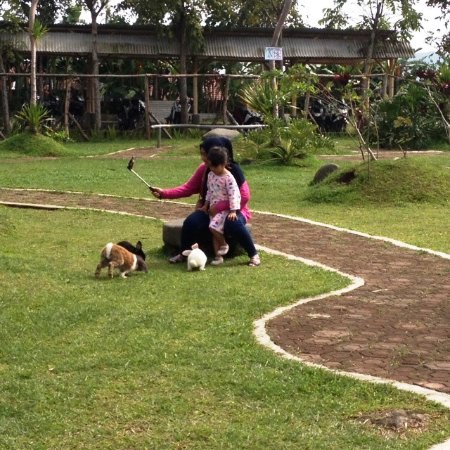 Ciwidey Rabbit Park