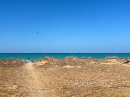 Dune di Casalbordino