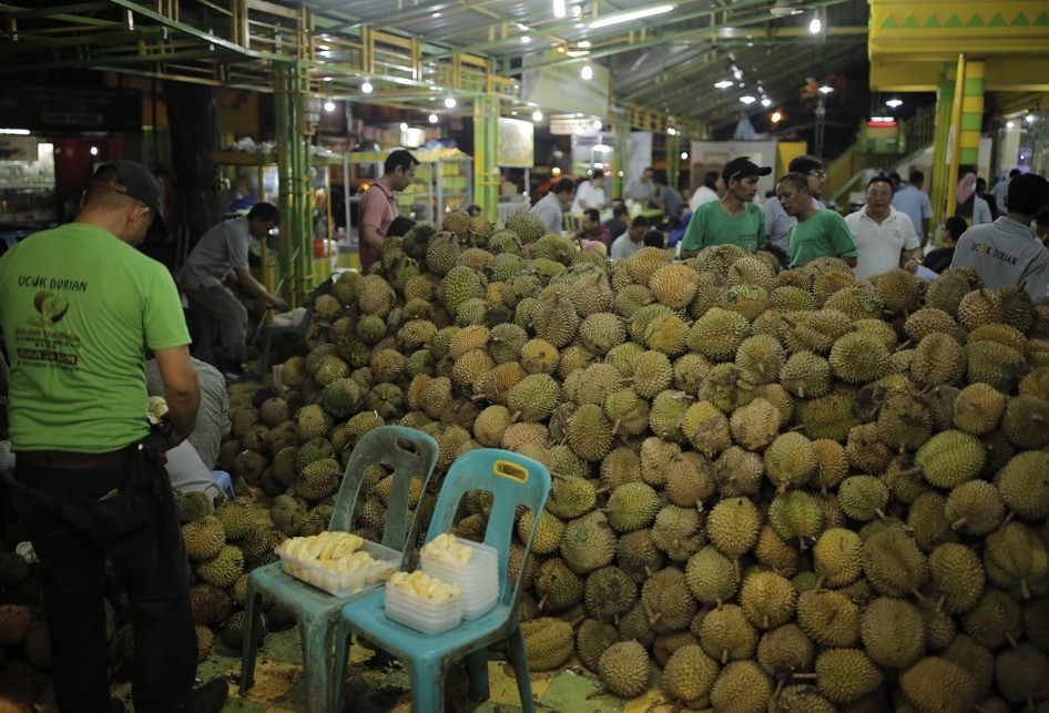 Durian Ucok
