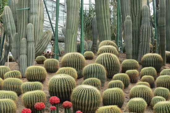 Nanshan Botanical Garden