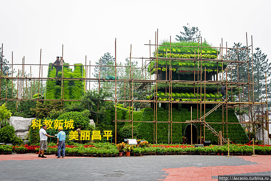 Rose Expo Garden