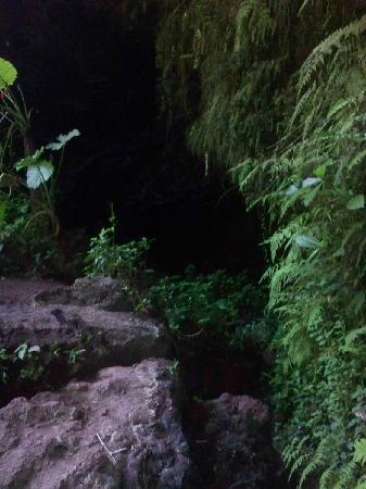 Huoshankou Forest Park