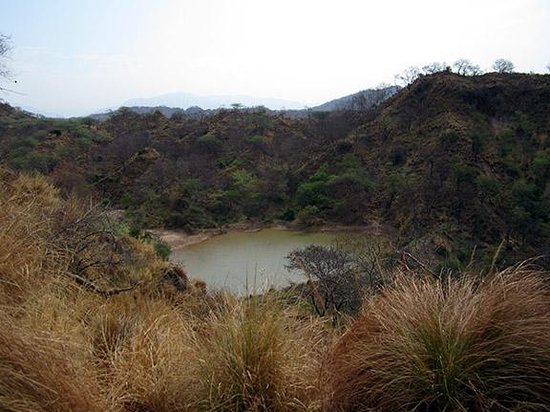 Nepli Reserve Forest