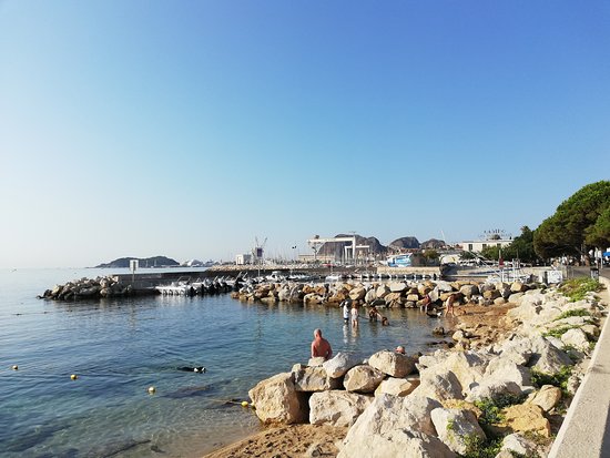 Plage Pour Les Chiens