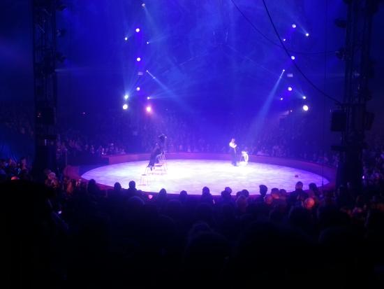 Cirque Arlette Gruss