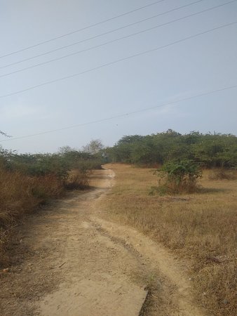 Raja Karna Ka Kila