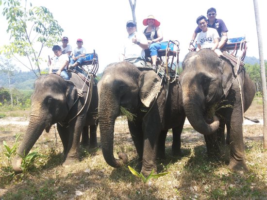 Bang Pae Safari