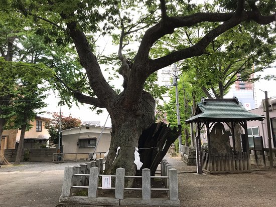 Asakane Shrine