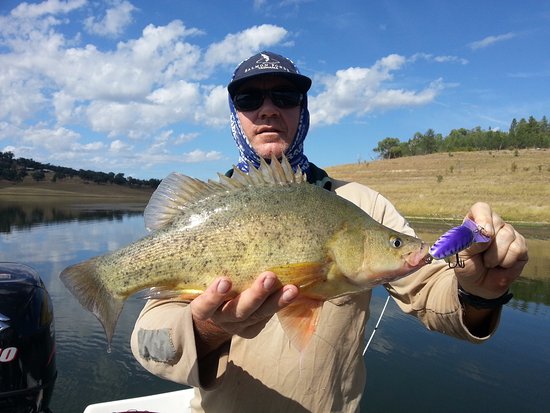 Glenlyon Dam Tourist Park