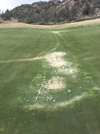 Apache Stronghold Golf Club