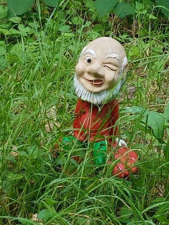 Gnome Magic Garden