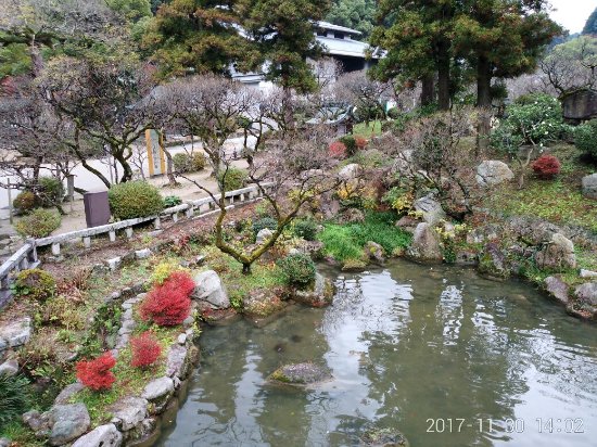 Outdoor Pictures 1