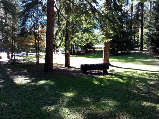 Parco Abbé J.M. Henry