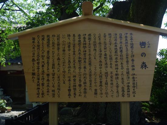 Kutsuwa no Mori no Inuzakura