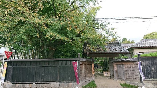 Outdoor Pictures 1