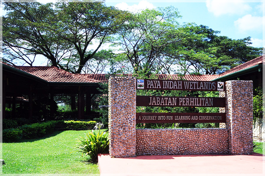 Paya Indah Wetlands