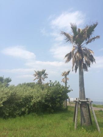Outdoor Pictures 1