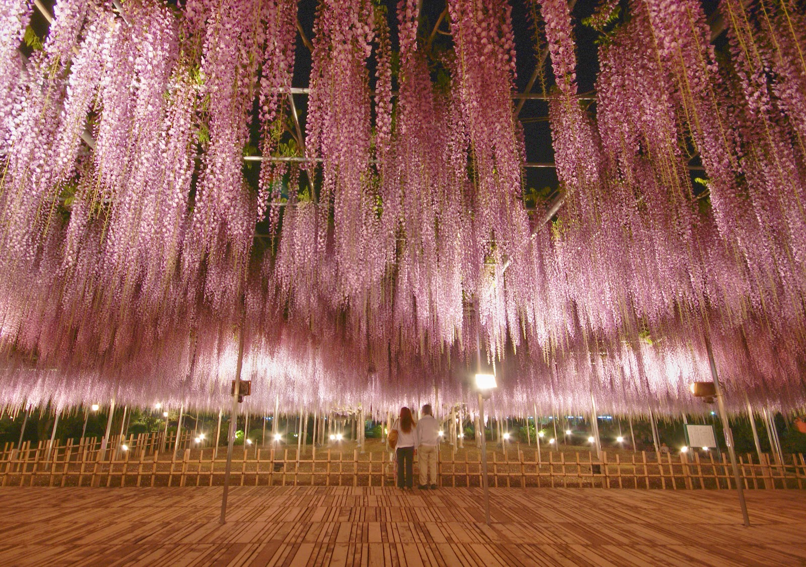 Ashikaga Machinaka Yugakukan