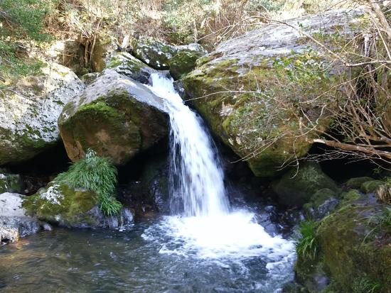 Ruri Valley