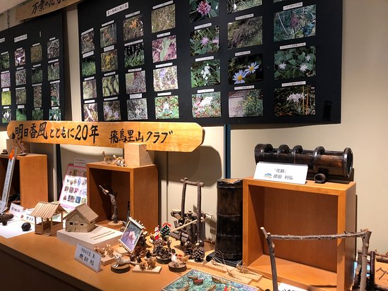 National Asuka History Park Museum