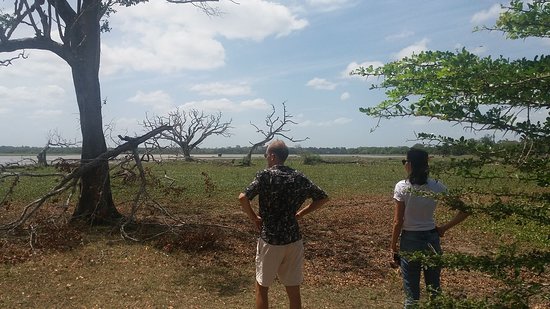Lahugala Kitulana National Park