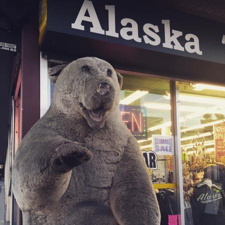 Polar Bear Gifts