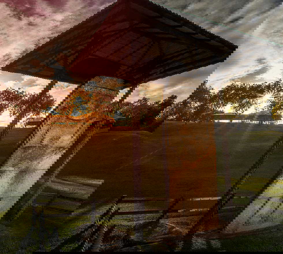 Outdoor Pictures 1