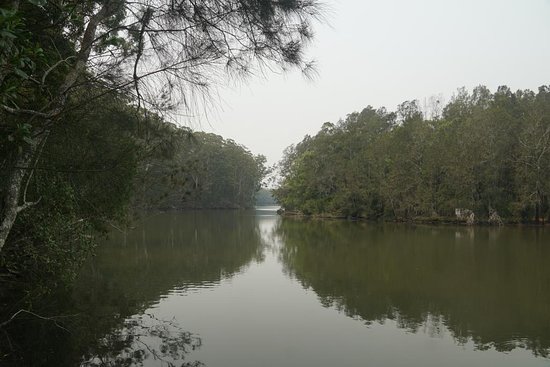Bongil Bongil National Park