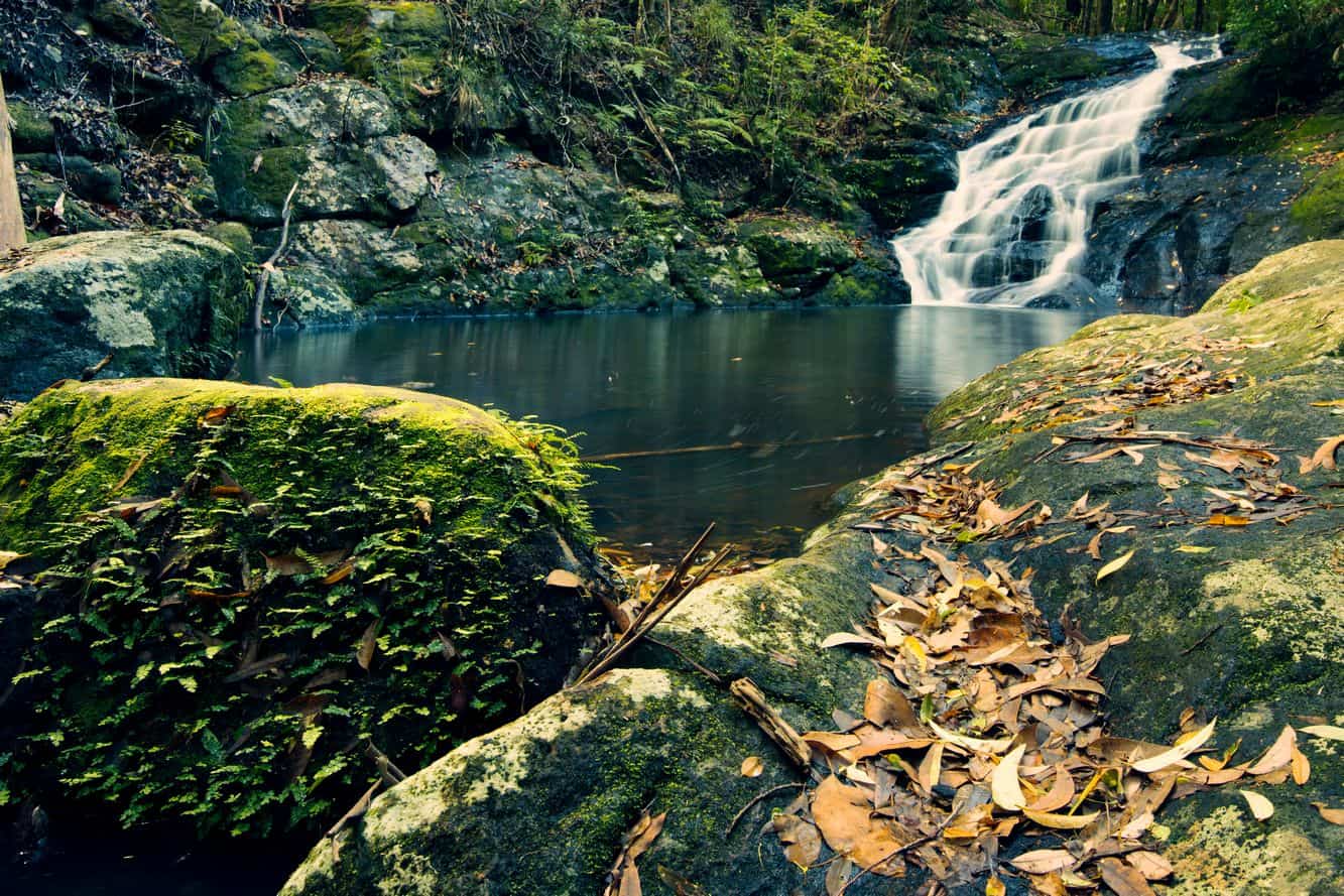 Kondalilla Falls