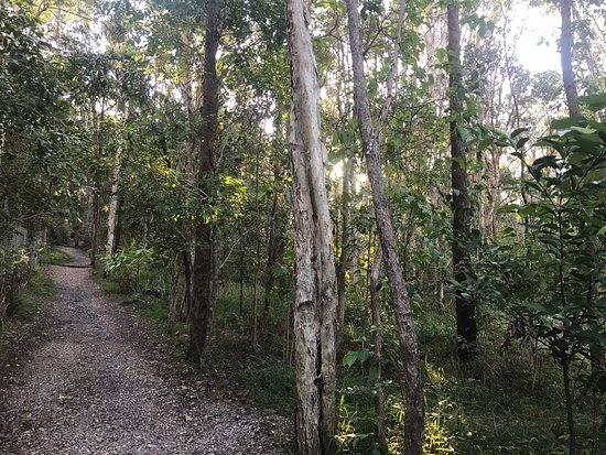 Alex Forest Conservation Area